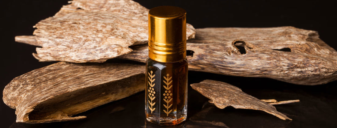 Die besten Oud-Parfums