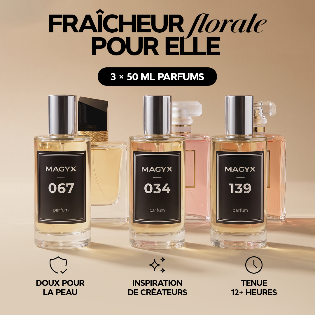 bundle_fr