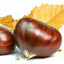 Castañas