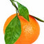 Grüne Mandarine